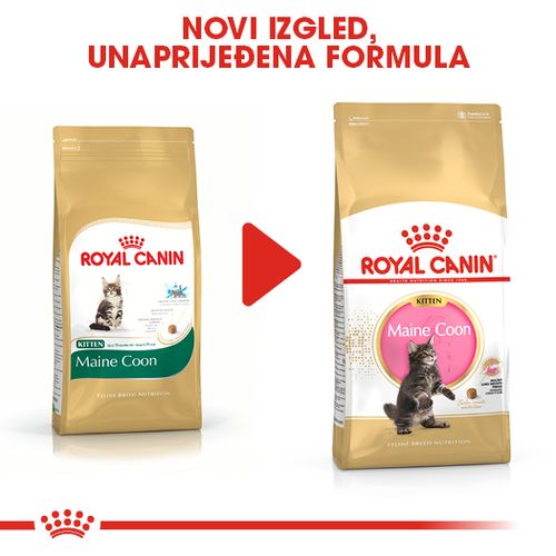 ROYAL CANIN FBN Maine Coon KITTEN, potpuna i uravnotežena hrana za mačke, specijalno za mačiće pasmine Maine Coon do 15 mjeseci starosti, 2 kg slika 2