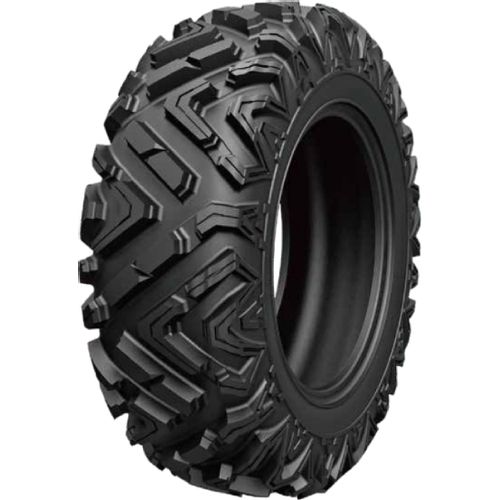 25X10R12 BRUISER AR69 6PR TL slika 1