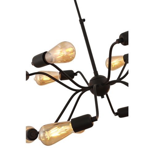 Squid Lighting R Luster Justin 12 slika 3