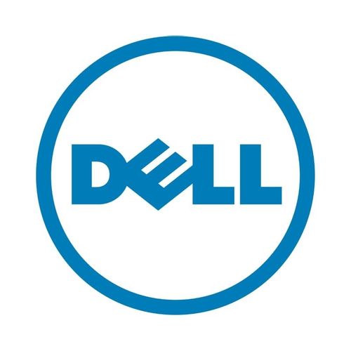 DELL OEM 480GB SSD Read Intensive 2.5 inch Hot-plug Assembled Kit 3.5 inch 14G slika 2