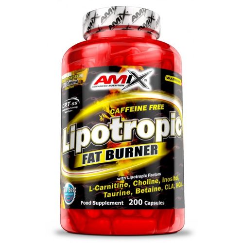 AMIX Lipotropic Fat Burner, 200 cap slika 1