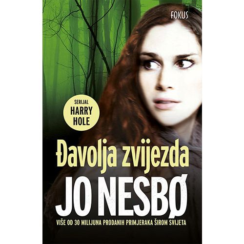 Đavolja zvijezda, Jo Nesbø slika 1