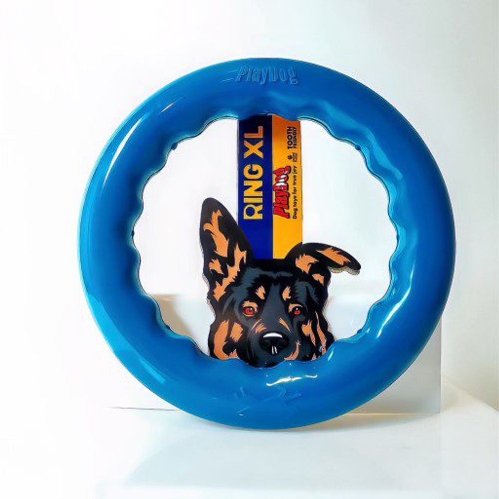 PlayDog igračka za psa Ring XL slika 1