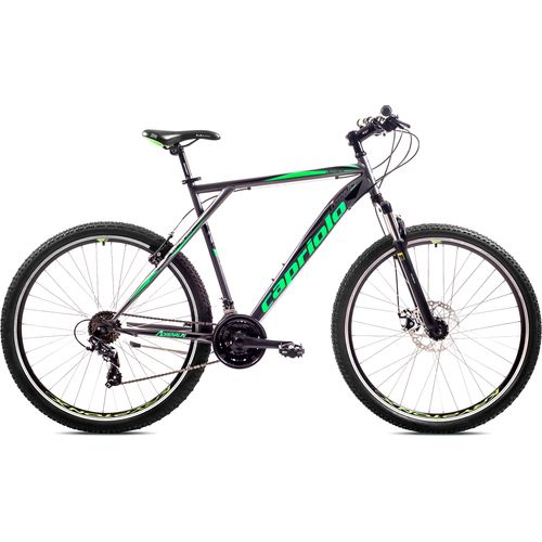 CAPRIOLO bicikl MTB ADRENALIN 26'/21HT silver slika 2