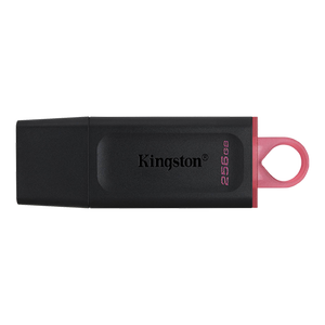 FlashDrive 256GB Kingston DTX/256GB USB3.2