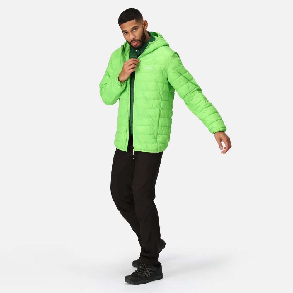 Regatta Muška jakna Hooded Hillpack Jasmine Green slika 5