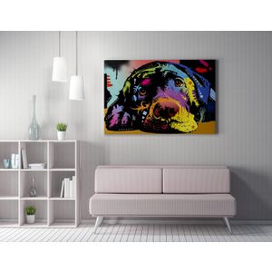 Wallity WY164 (50 x 70) Multicolor Decorative Canvas Painting