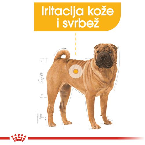 ROYAL CANIN CCN Dermacomfort Medium, potpuna hrana za pse - Za odrasle i starije pse srednje velikih pasmina (od 11 do 25 kg) - Stariji od 12 mjeseci - Psi skloni iritaciji kože i češanju, 3 kg slika 7