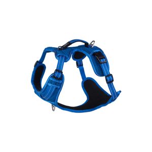 Rogz Orma za pse Podstavljena Explore SJX06 L Fanbelt 20 mm B Plava