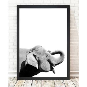 Oyo Concept Slika Damarion Elephant