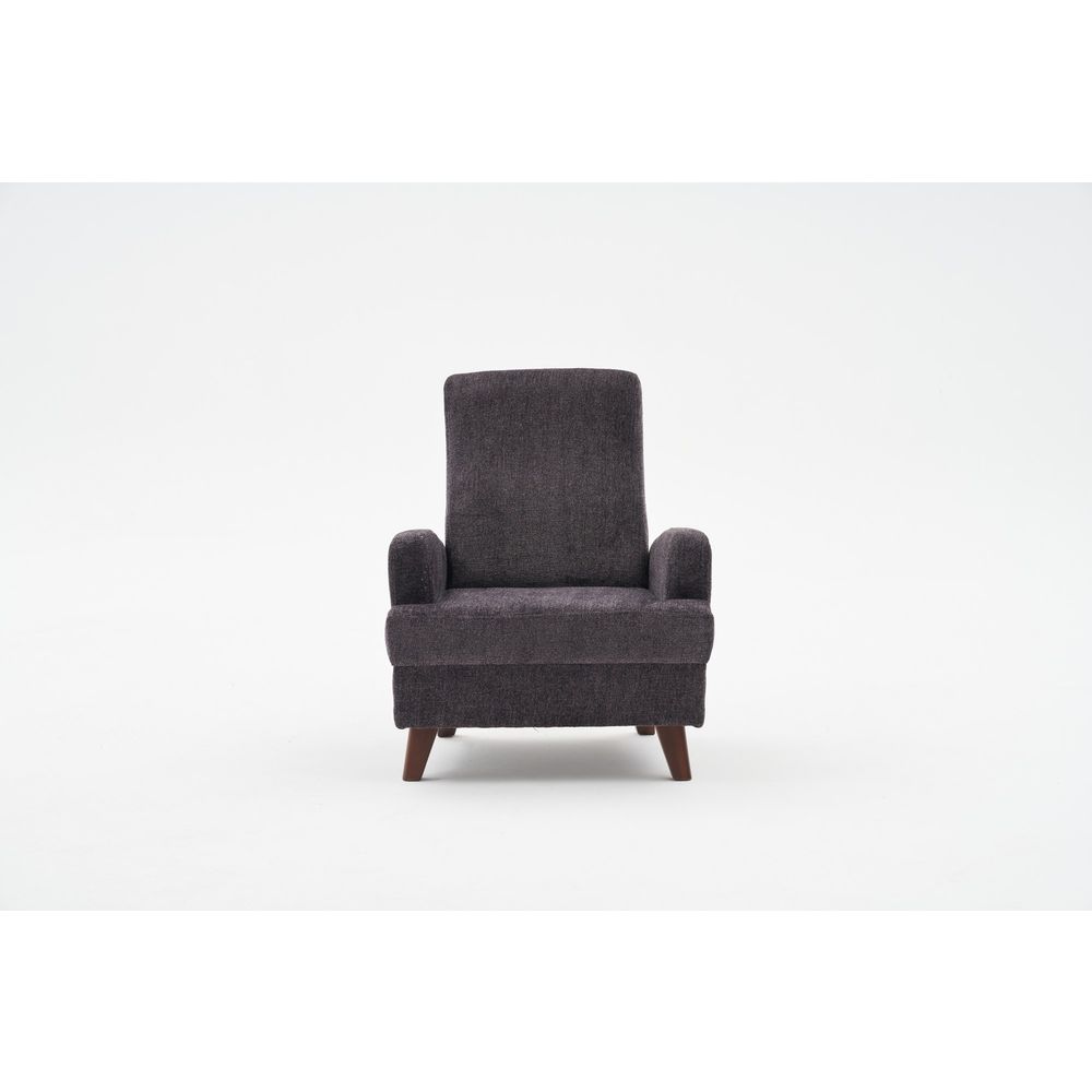 Kana - Antracitni Wing Chair slika 4