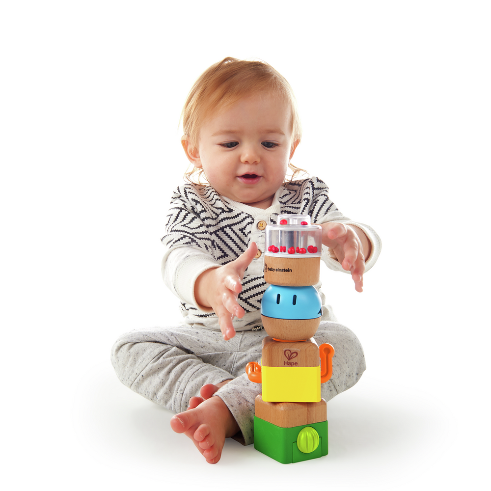 Hape Senzorni set igračka Four Fundamentals 800851  slika 6