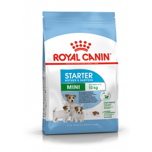 ROYAL CANIN SHN Mini Starter, potpuna hrana za pse, specijalno za kuje malih pasmina (1-10 kg) i njihove štence, 1 kg