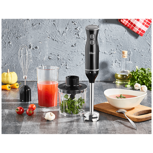 Zilan blender set ZLN5244, 250W slika 5