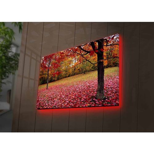 Wallity Slika dekorativna platno sa LED rasvjetom, 4570DHDACT-041 slika 3