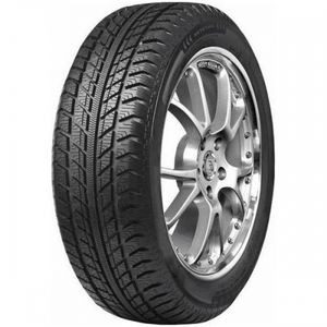 Austone 205/65R16C 107/105T 8R3PMSF Skadi SP-902 m+s