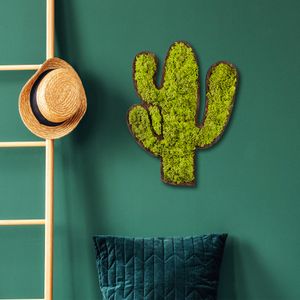 Cactus Green
White Decorative Wall Accessory