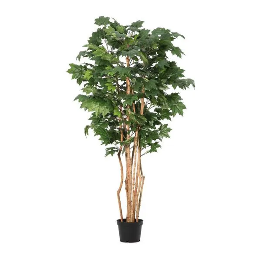 Bizzotto Kanadski javor 195 cm PVC slika 1
