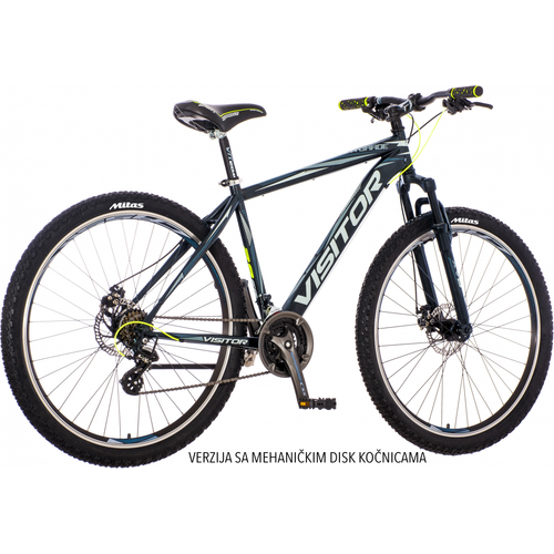 Visitor - AVA291AMD2 29"/19" VISITOR AVANGARD CRNO SIVI - mountain bike slika 1