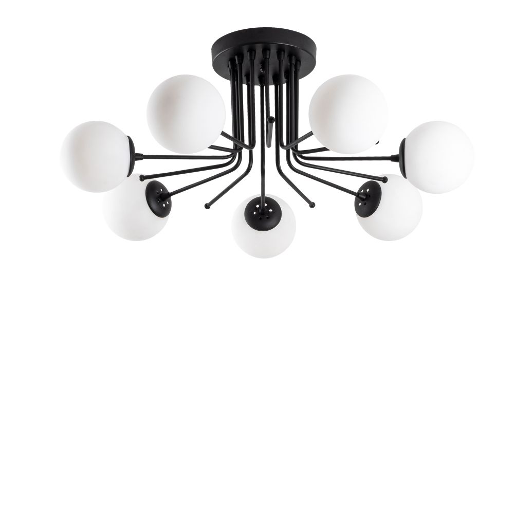 Daisy-147-AV Crni Luster slika 3