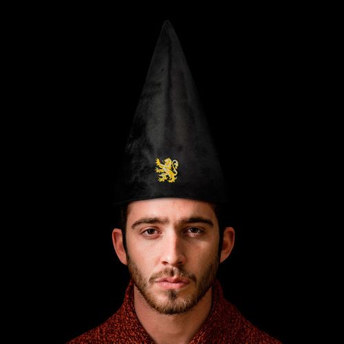 Harry Potter Gryffindor Šešir slika 3