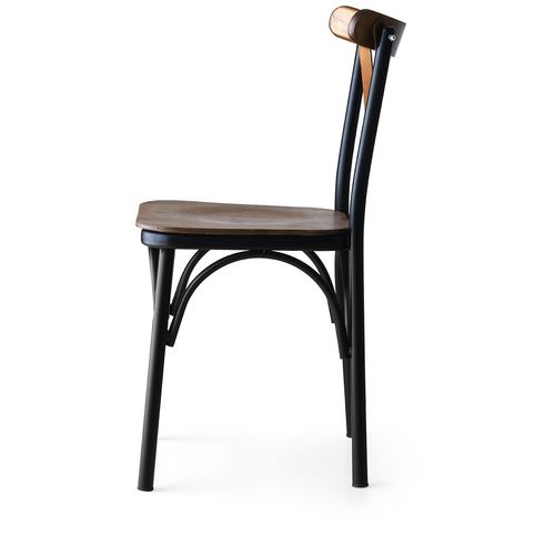 Hanah Home AhÅŸap Ekol - 261 V4 Walnut Chair Set (4 Pieces) slika 3