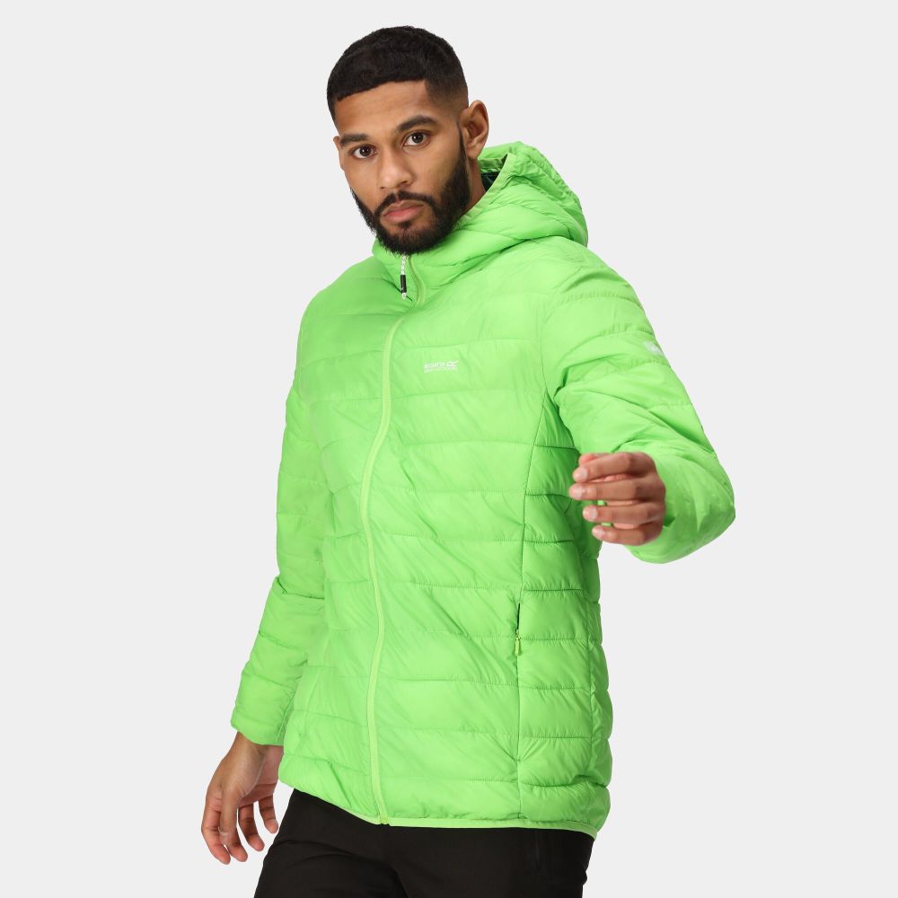 Regatta Muška jakna Hooded Hillpack Jasmine Green slika 4