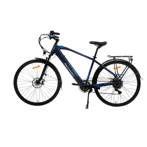 MS ENERGY eBike c11_L size slika 1