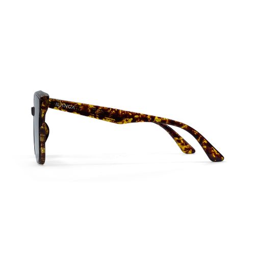 Ilanga Eyewear sunčane naočale Universe brown yellow tortoise slika 3