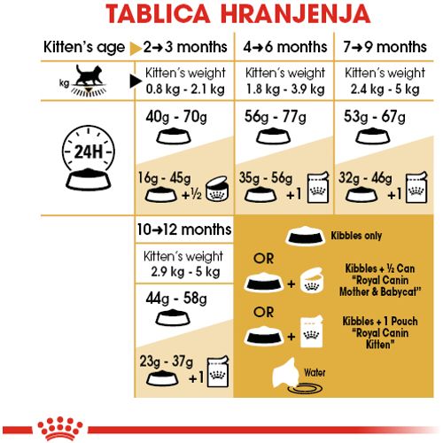 ROYAL CANIN FBN British Shorthair KITTEN, potpuna i uravnotežena hrana za mačiće, specijalno za mačiće pasmine Britanska krtkodlaka mačka u dobi do 12 mjeseci, 2 kg slika 4