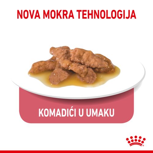 ROYAL CANIN FHN Indoor Gravy, potpuna hrana u vrećici za  odrasle mačke, za mačke koje žive u kući, komadići u umaku, 12x85 g slika 8