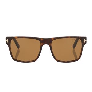 Muške Sunčane naočale Tom Ford Tom Ford FT1205/S Calder Tortoise