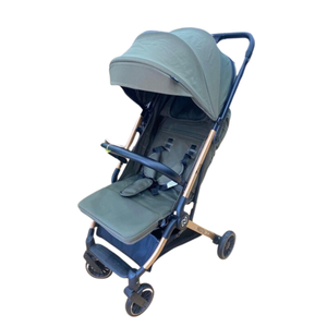 Nesta Kolica za bebe Zoe X5, Green