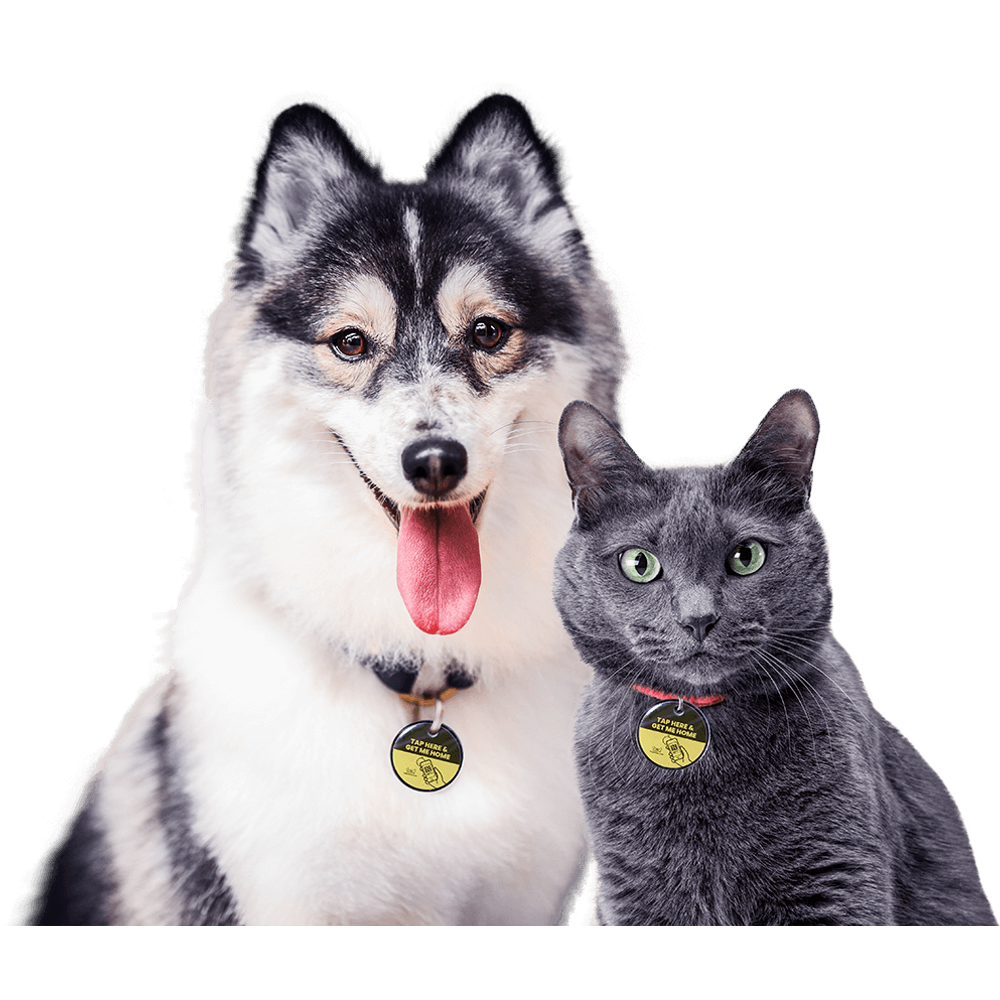 The Pet Tap ID Locator Privjesak za kućne ljubimce slika 3