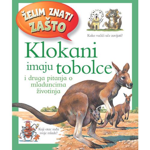 Želim znati zašto Klokani imaju tobolce slika 1