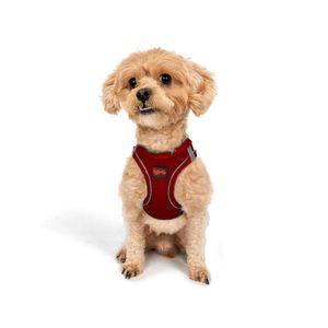 Dog harness Air-Mesh, colour: red