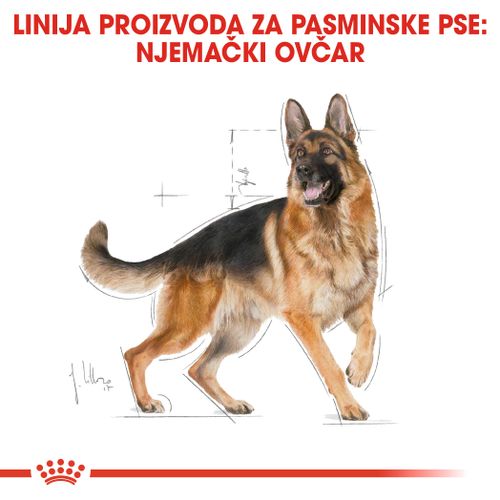 ROYAL CANIN BHN German Shepherd Adult, potpuna hrana posebno namijenjena odraslim njemačkim ovčarima, 11 kg slika 4