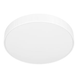 Eglo Zubieta-A Stropna LED Lampa, 18W, Promjer 300mm, Dimabilna, Sa Daljinskim Upravljačem, Bijela