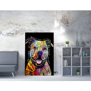 WY163 (50 x 70) Multicolor Decorative Canvas Painting