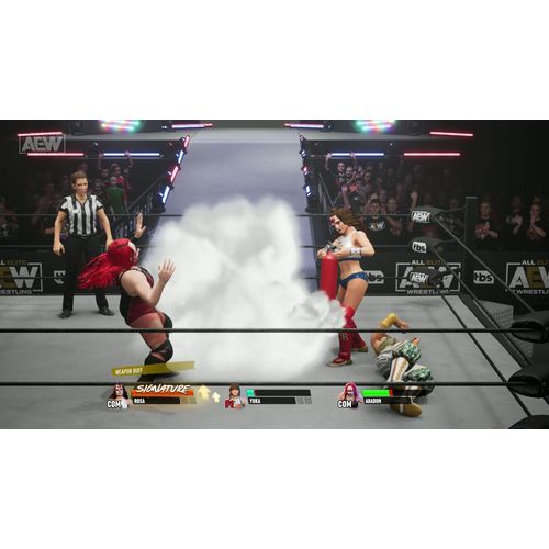 AEW: Fight Forever (Playstation 4) slika 2