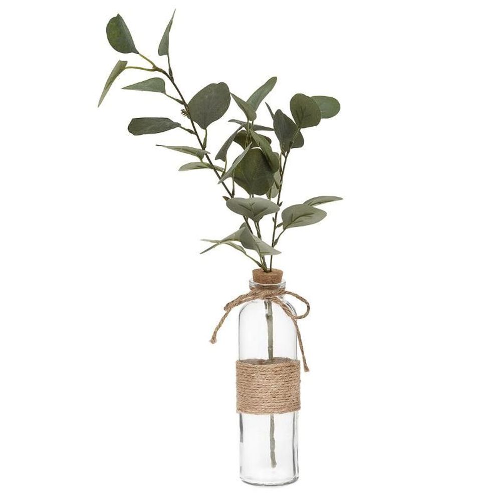 Atmosphera dekorativna biljka eucalyptus sa vazom slika 1