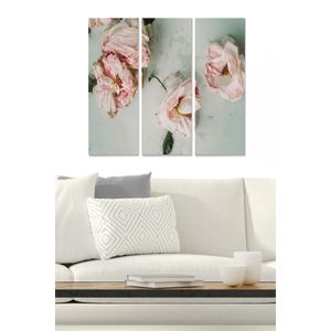 Dekorativna Slika od MDF-a u Više Boja (Set od 3 Komada) - MDF1149191