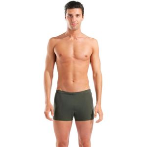 Arena Kupaći za muškarce GRAPHIC SWIM SHORT