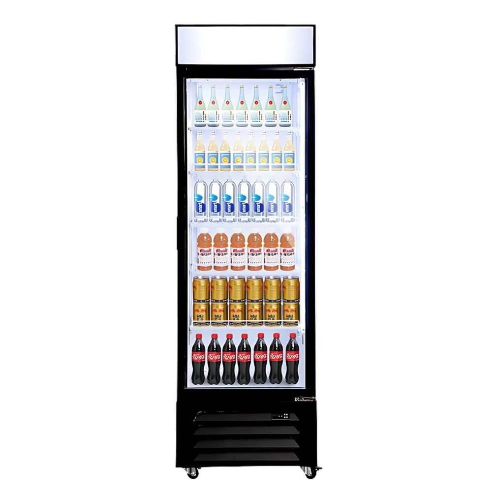 STARCREST SPS-360DC rashladna vitrina 360L Reklamni zaslon slika 1