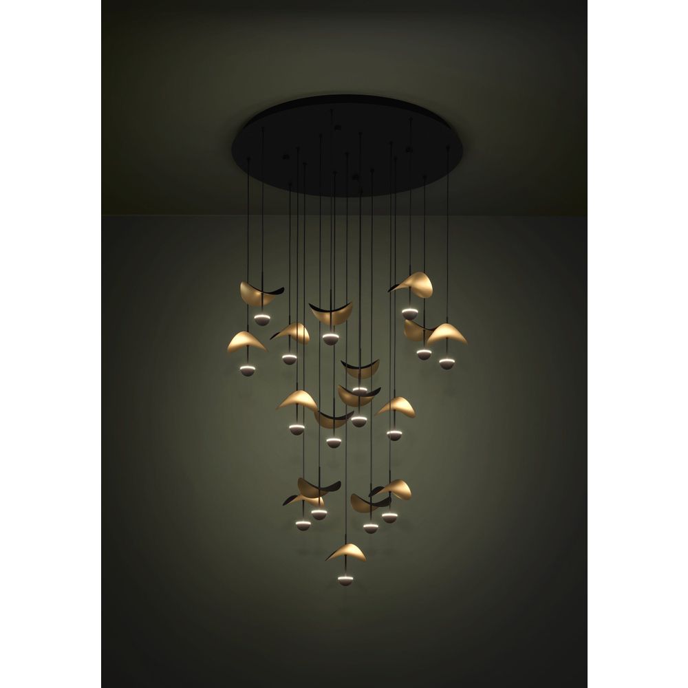 DRACERA Luster - LED Osvjetljenje u Crnoj i Zlatnoj Boji slika 2