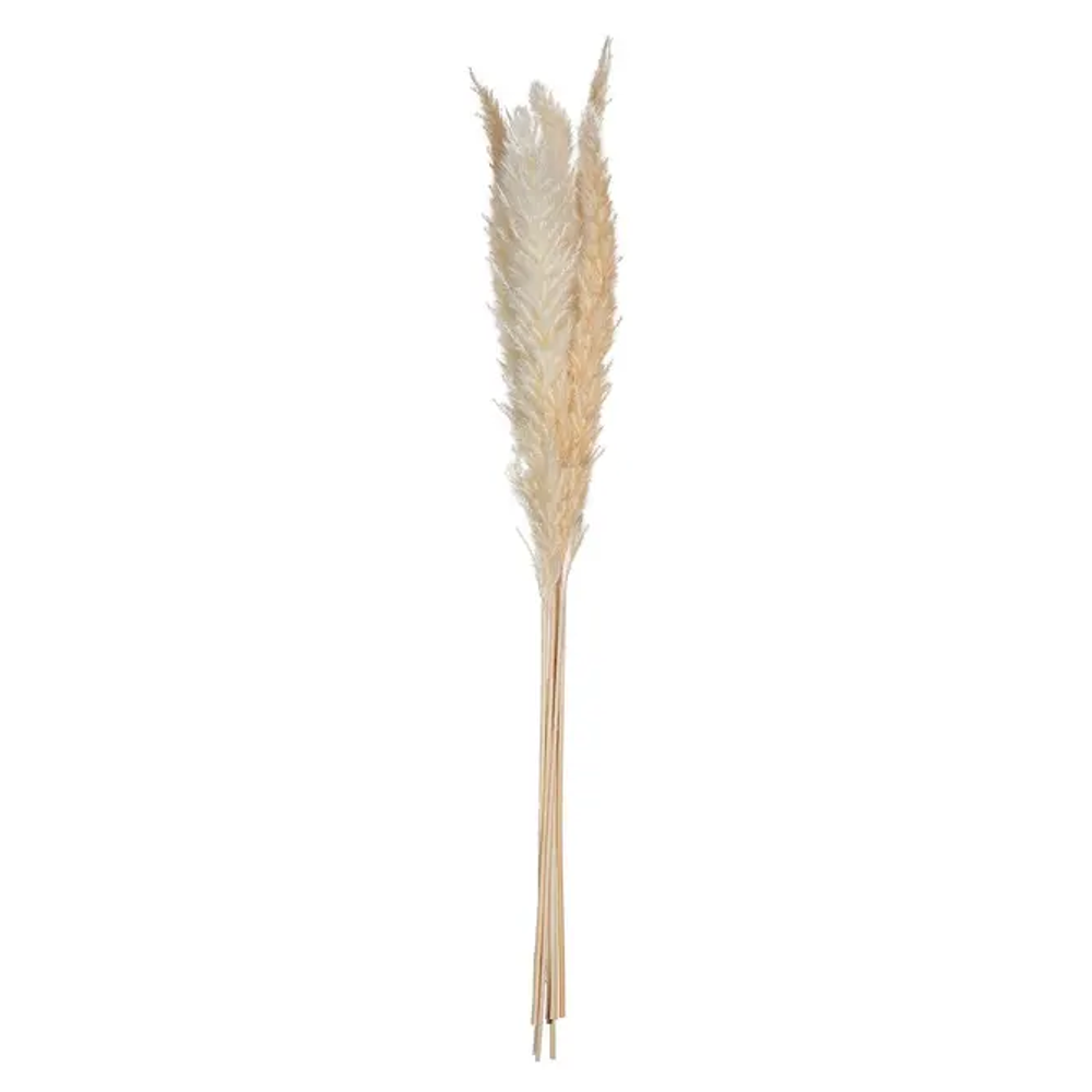 Atmosphera ukrasna grana pampas 65cm 6/1 sušeno bilje bež slika 1