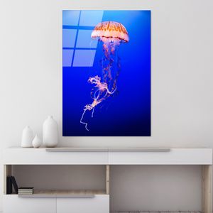 UV-154 Dekorativna Slika na Kaljenom Staklu, 70 x 100 cm, Višebojna