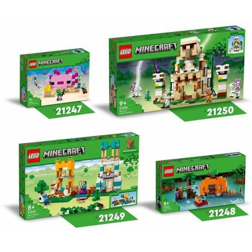 Playset Lego 21249 Super Mario slika 3