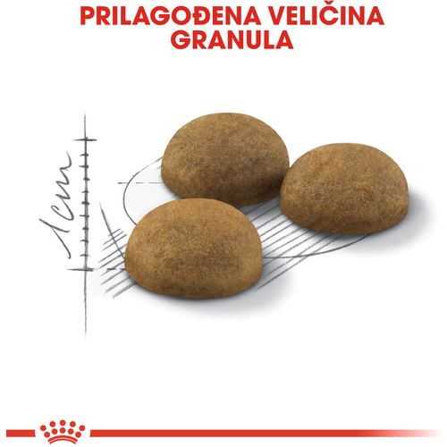 ROYAL CANIN FHN Indoor Long Hair, potpuna i uravnotežena hrana za odrasle kućne mačke duge dlake (1-7 godina), 2 kg slika 8