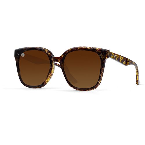 Ilanga Eyewear sunčane naočale Universe brown yellow tortoise slika 1